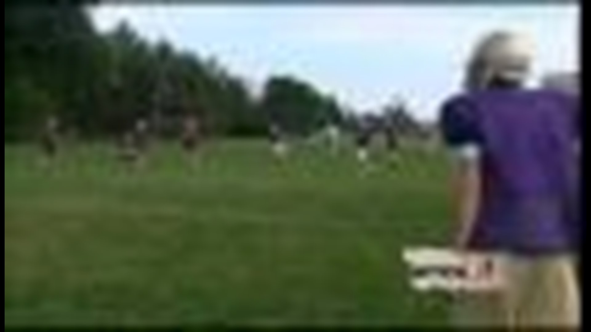 Maumee Panthers working hard for football season