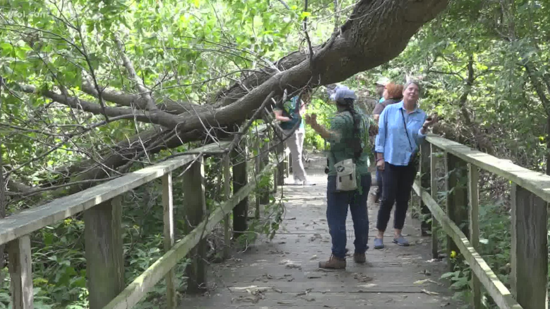 Rough weather last month did so much damage that the Magee Marsh Wildlife Area had to be shut down due to safety concerns. But not all was lost.
