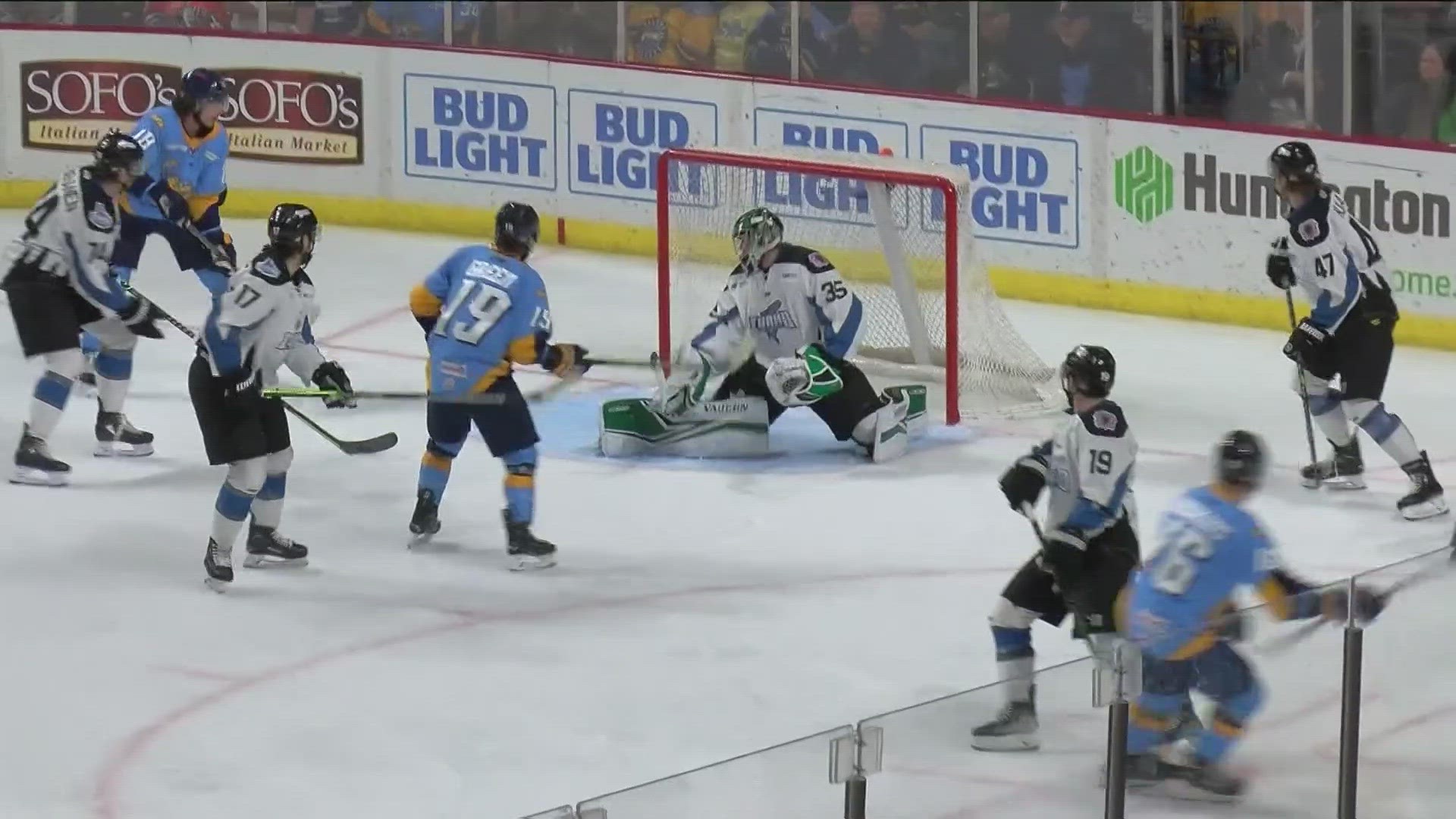 The Toledo Walleye fell 4-3 to the Idaho Steelheads Friday night, despite strong goaltending from John Lethemon and goal-scoring  prowess from Gordie Green.