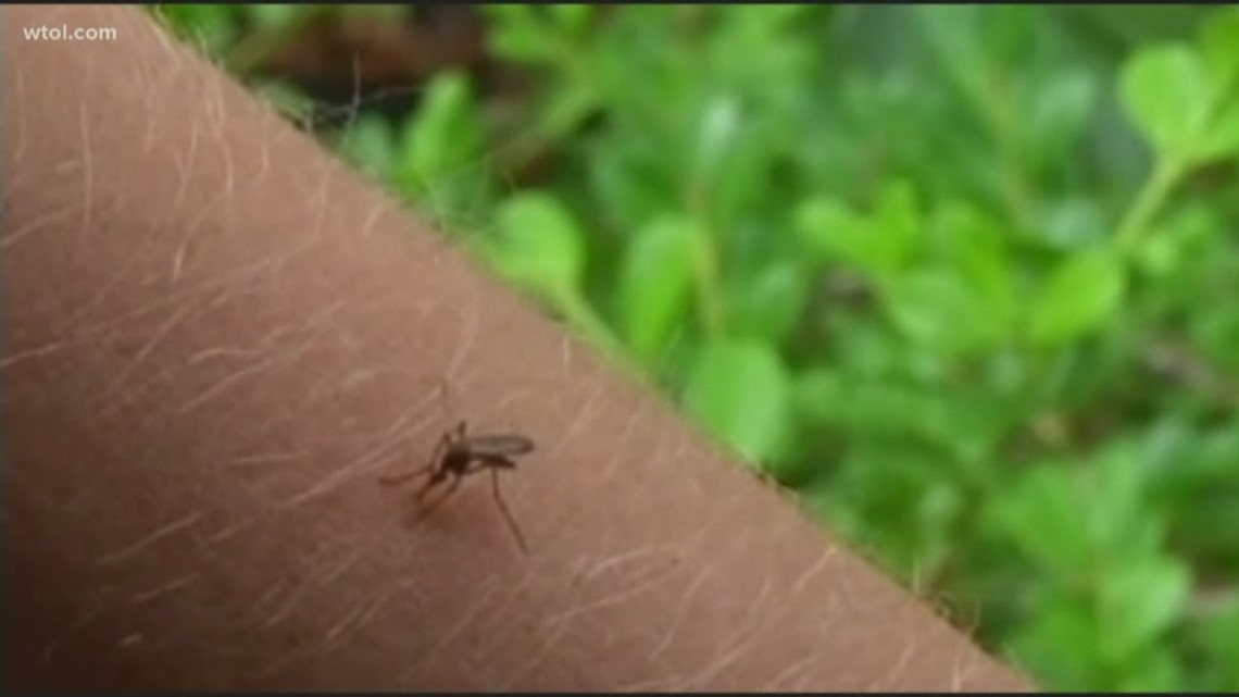 West Nile virus in mosquito pools in Lucas County