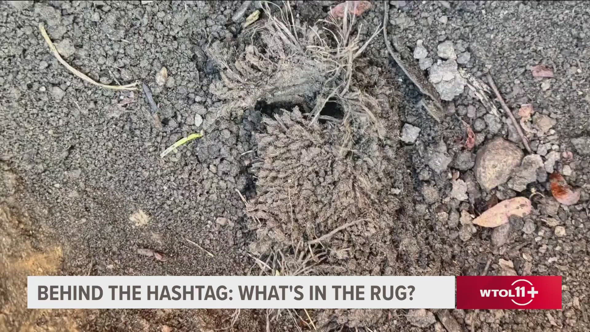 An Ohio woman went viral online after she unearthed a rug while digging in her backyard. Behind The Hashtag takes a look at #WhatsInTheRug.