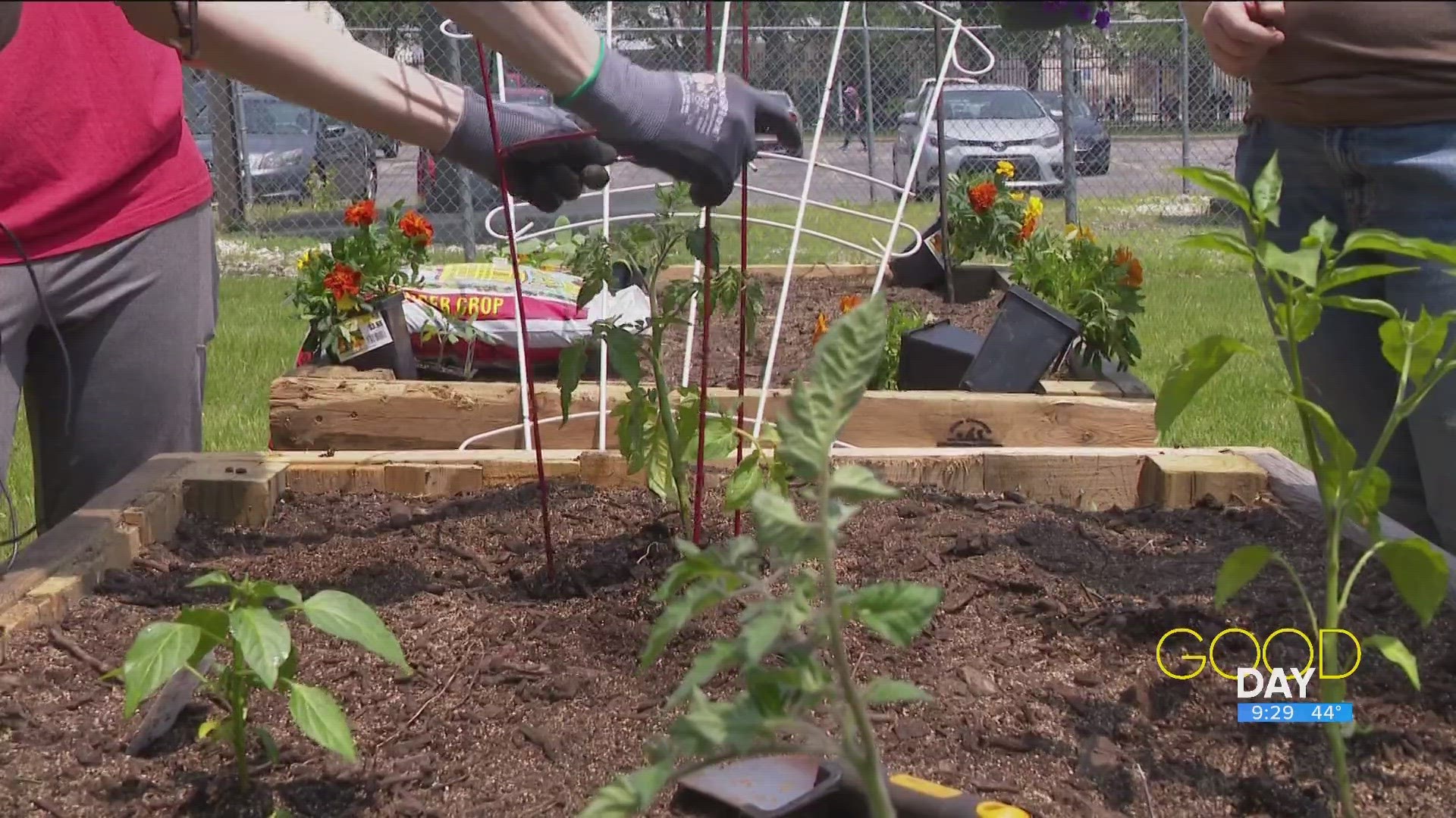 Claire Caryer and Alison Wood-Osmun from Toledo Grows offer some tips and tricks to growing a spectacular garden.