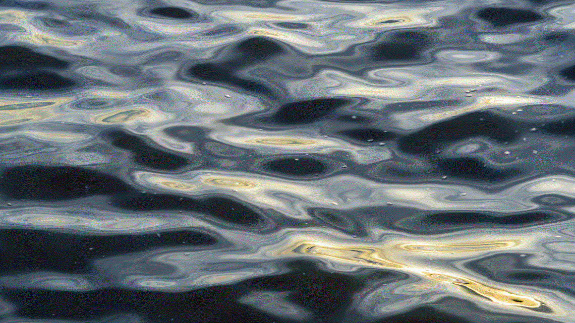 Person drowns at Cleanwater Beach in Monroe County, Michigan - Vimarsana News