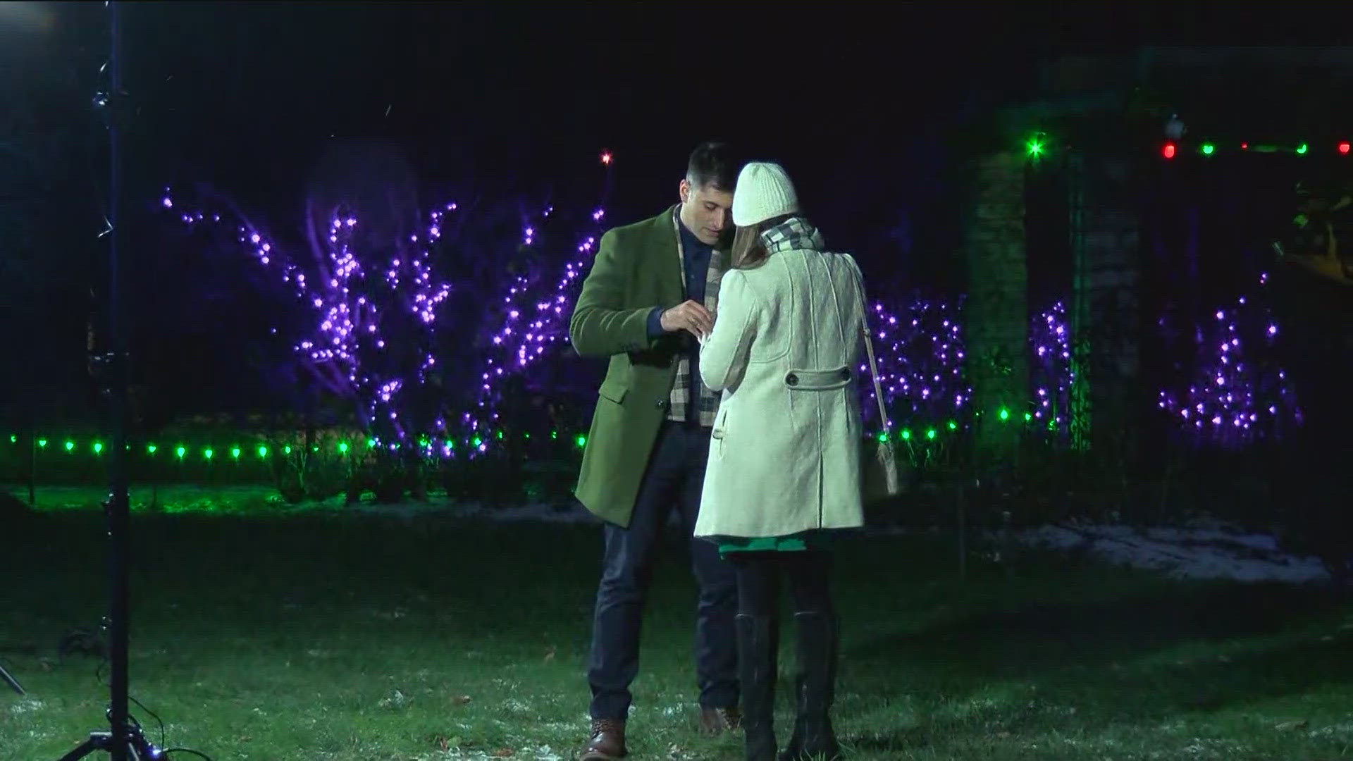 Embracing the magic of the season, the two got engaged by the Norway spruce under the lights at the Toledo Zoo.