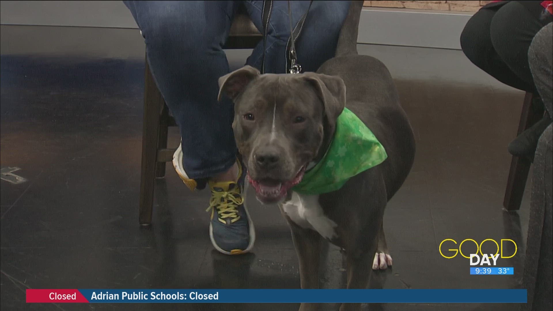 Anna Brogan from Lucas County Canine Care & Control introduces 'Griffy,' a lucky pup in need of a forever home.