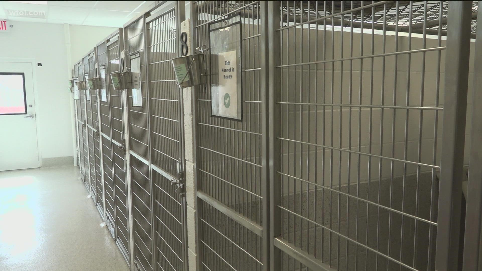 Wood County Humane Society sees near-empty shelter