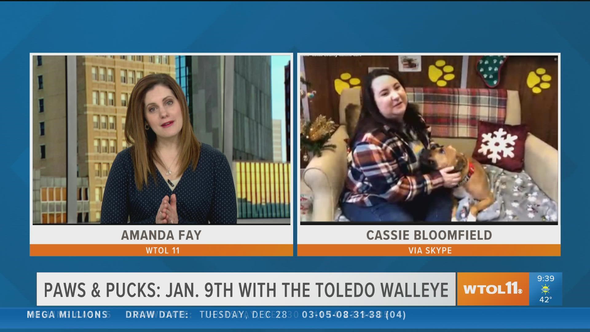Bix the spokespup and Cassie Bloomfield tell you how to get a new dog license, and let you know about their upcoming event with the Walleye.