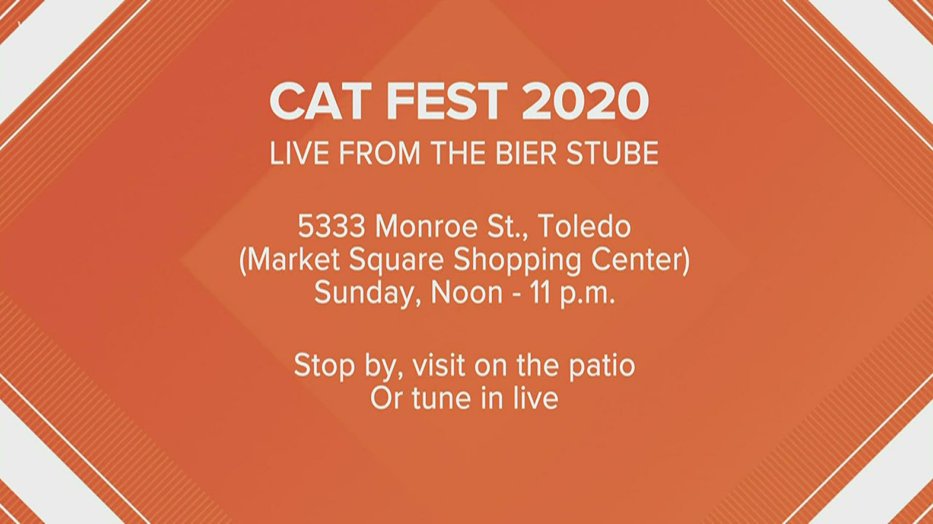 Cat Fest, the annual celebration of the life of domestic violence victim Cat Lambert, is still happening this year - things will just be a little different!