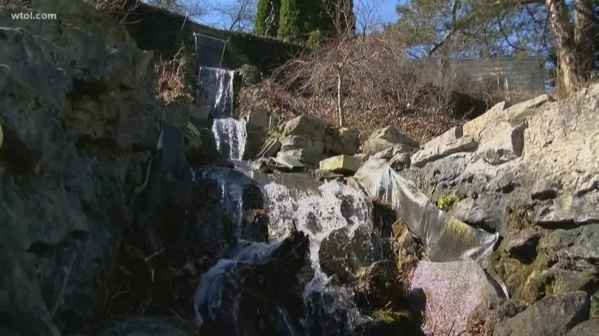 Because right now, we need it: The sights and sounds of nature at Schedel Gardens, captured by 
WTOL 11 photojournalist and operations manager Paul Kwapich.
