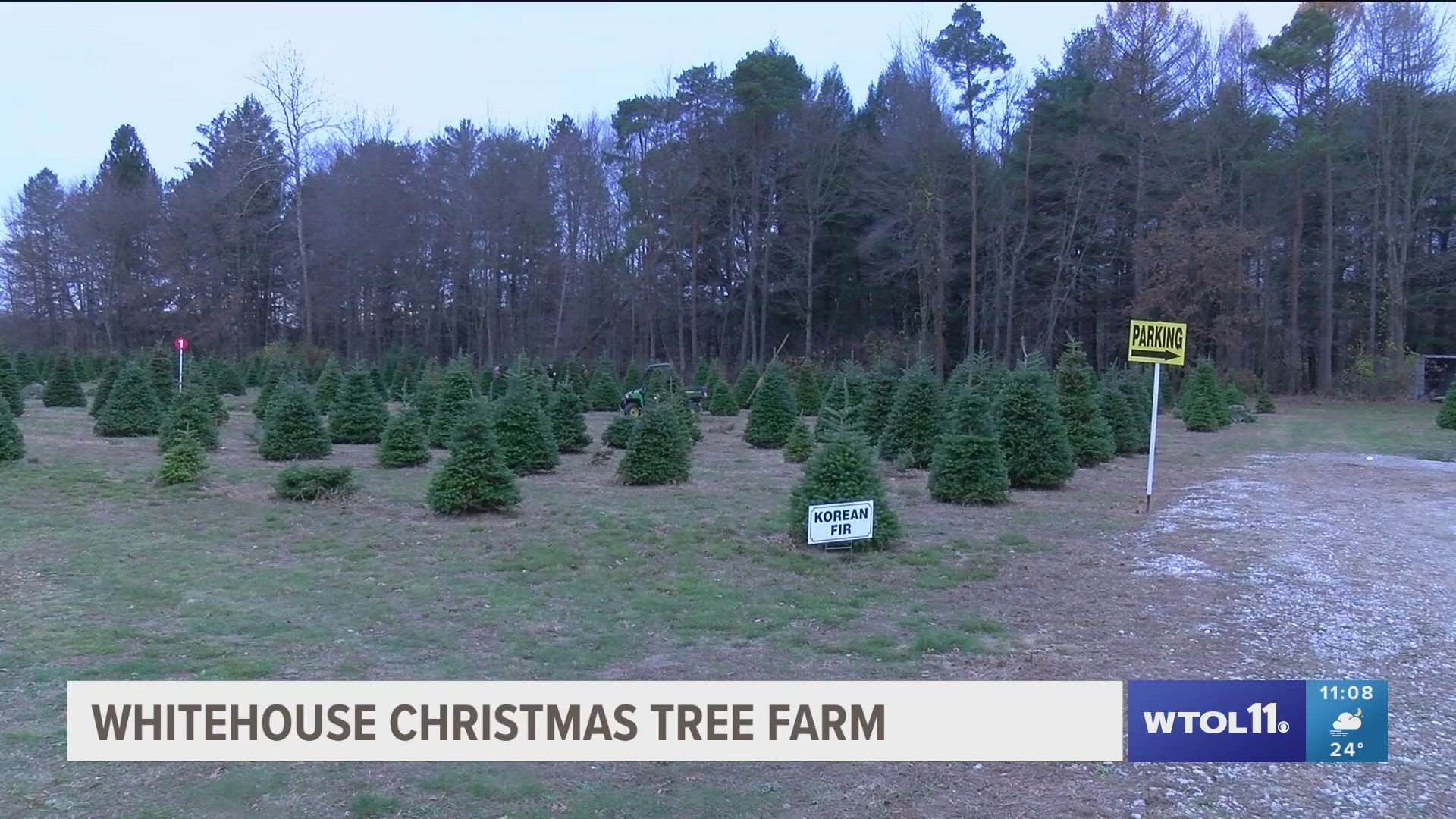 Duke Wheeler, the owner of the Whitehouse Christmas Tree Farm, says they've been helping families find the perfect tree since 1990.