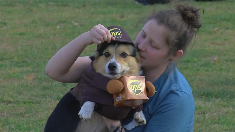 Corgis in costumes take over Middlegrounds dog park