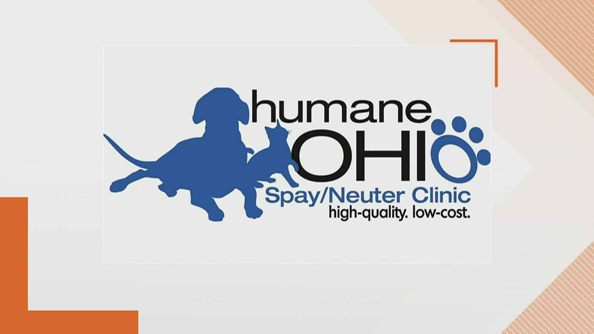 On Wednesdays and Fridays, Humane Ohio is now accepting walk-in appointments.