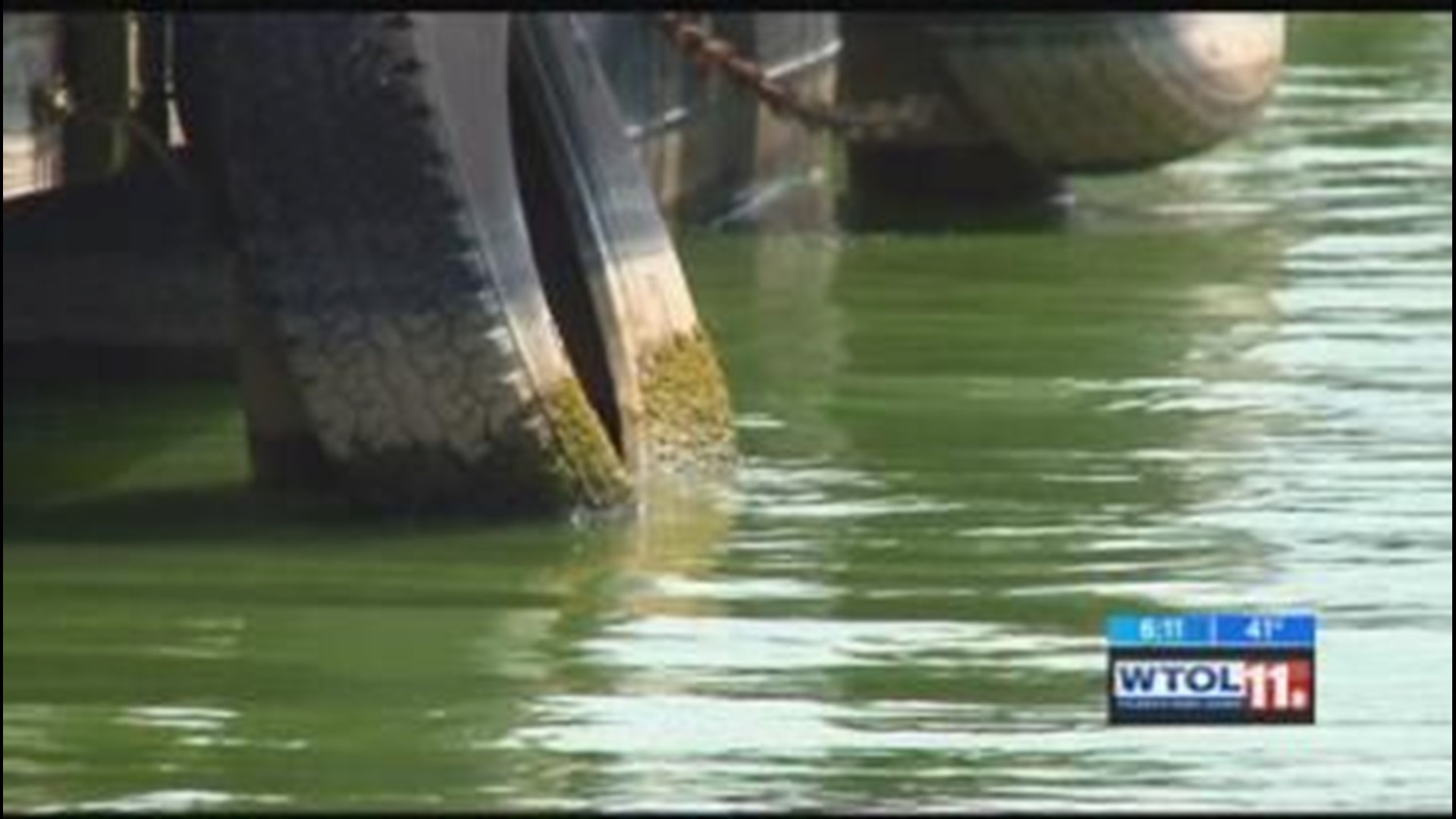 Lake Erie Algae: How did we get here?