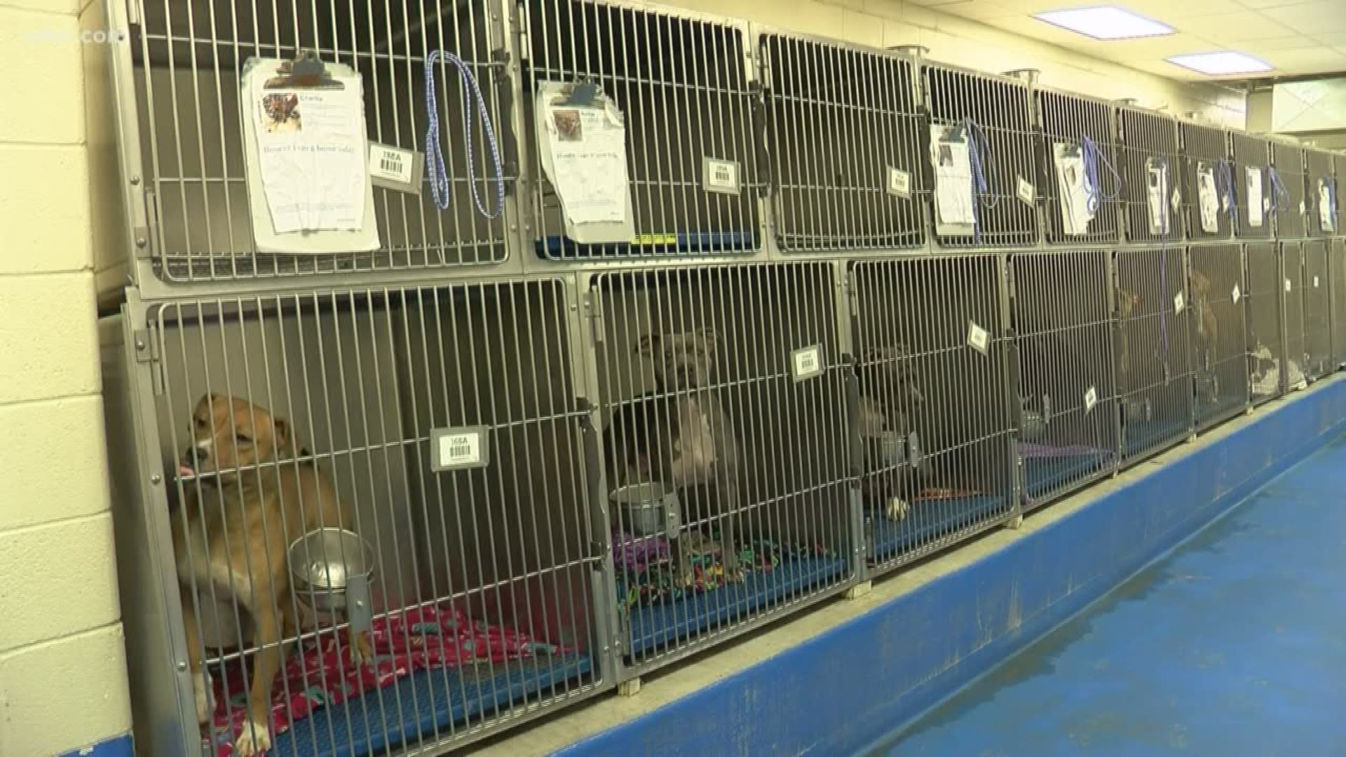 The Lucas County commissioners approved a request to allow advertisement for construction services for the new canine care and control facility.