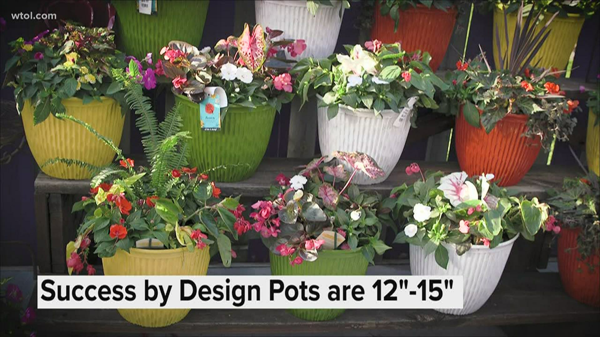 'Success by design' - Nature's Corner explains their program on design pots.