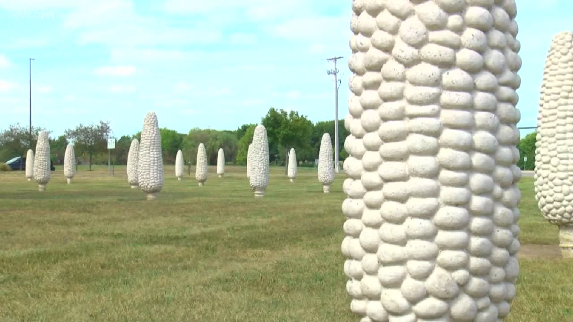 A field filled with 109 concrete ears of corn finds home in Dublin.