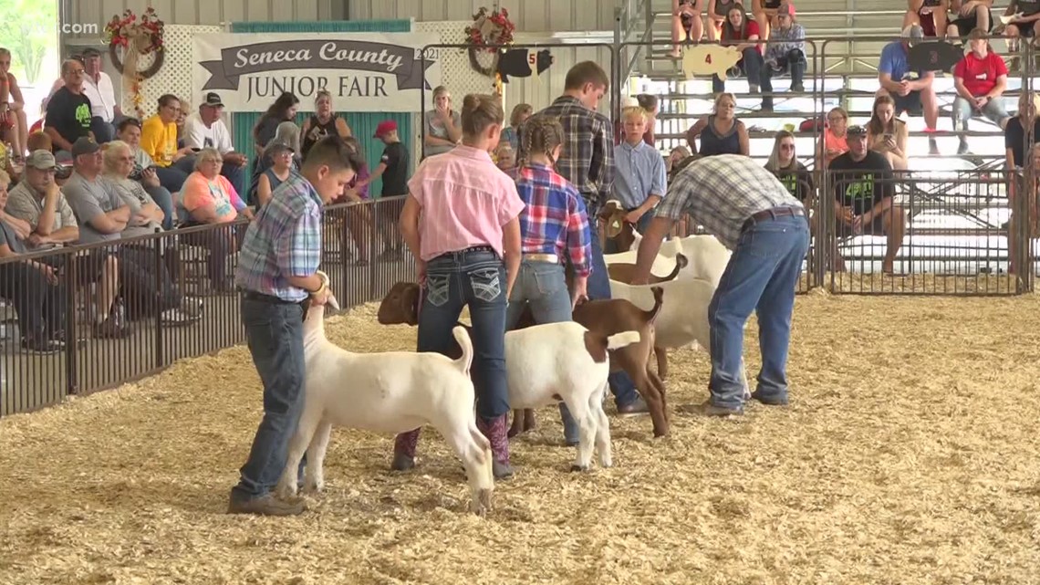 Seneca County Fair returns with full schedule of events