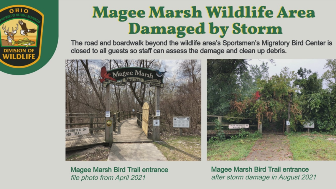 Magee Marsh reopened for Biggest Week in American Birding