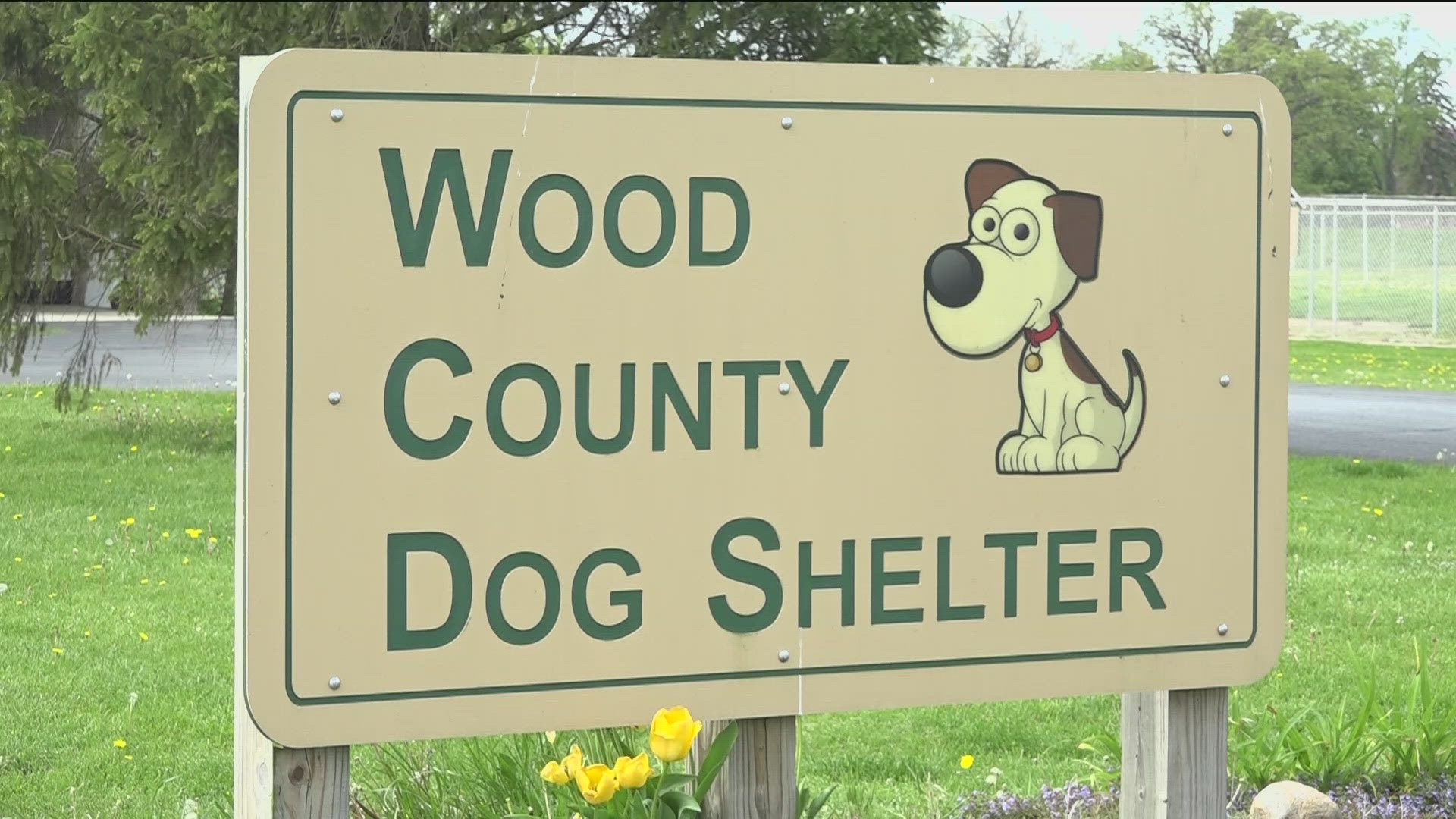 Dog adoptions will cost $25 during the promotion instead of the standard $75.