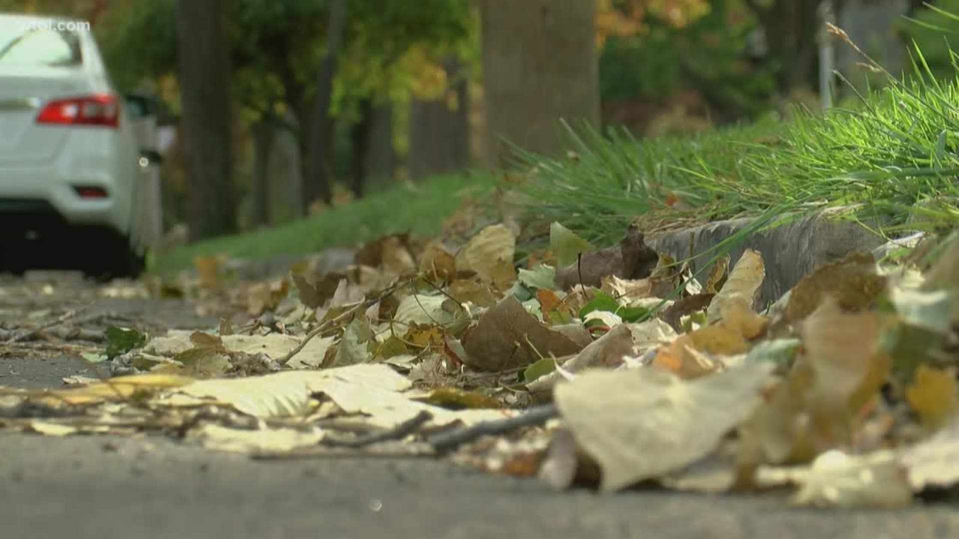 The snow and ice will be affecting leaf collection schedules, here's what you need to know if your leaves haven't been picked up yet