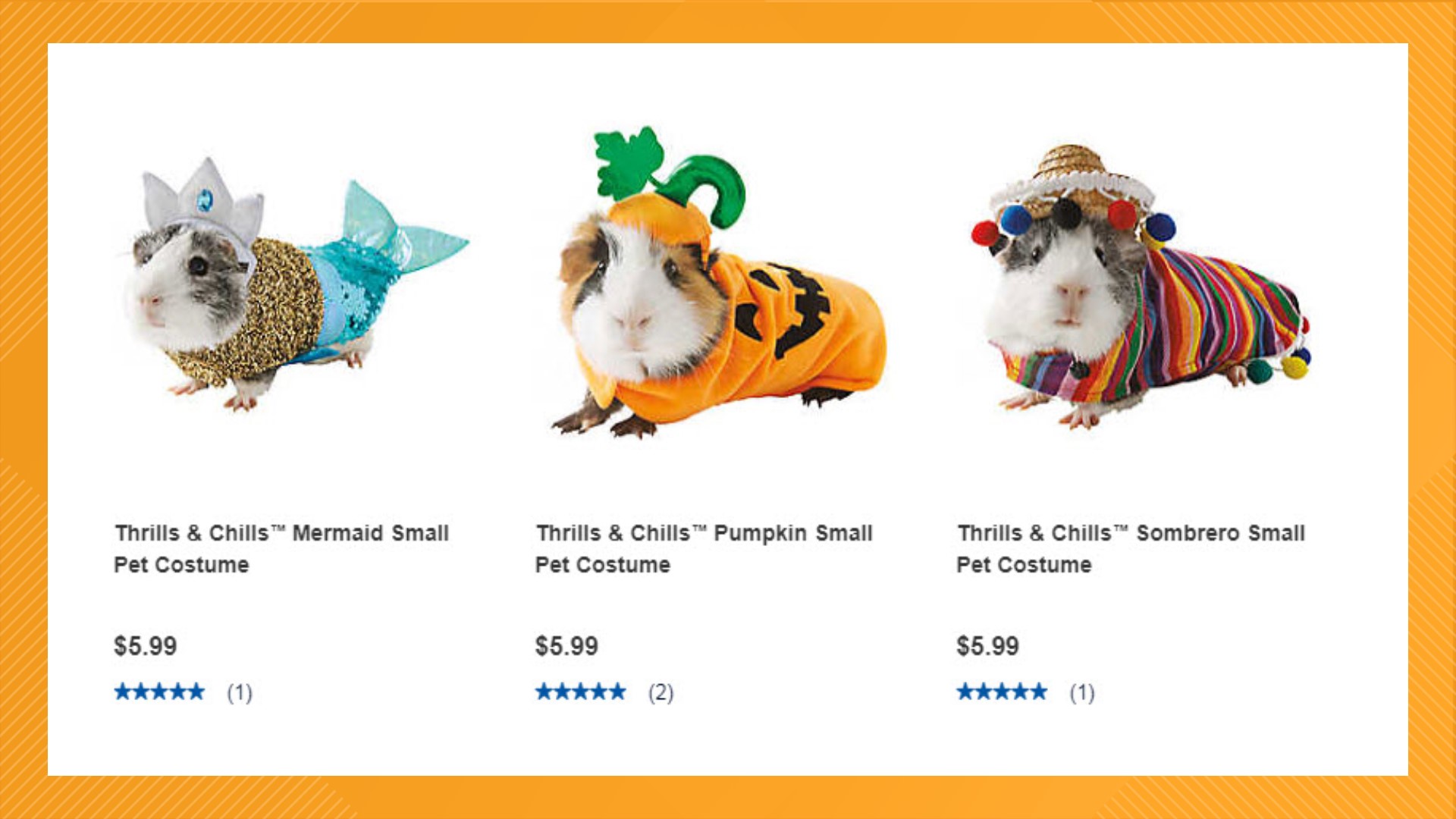 PetSmart has Halloween costumes for guinea pigs and they're the cutest