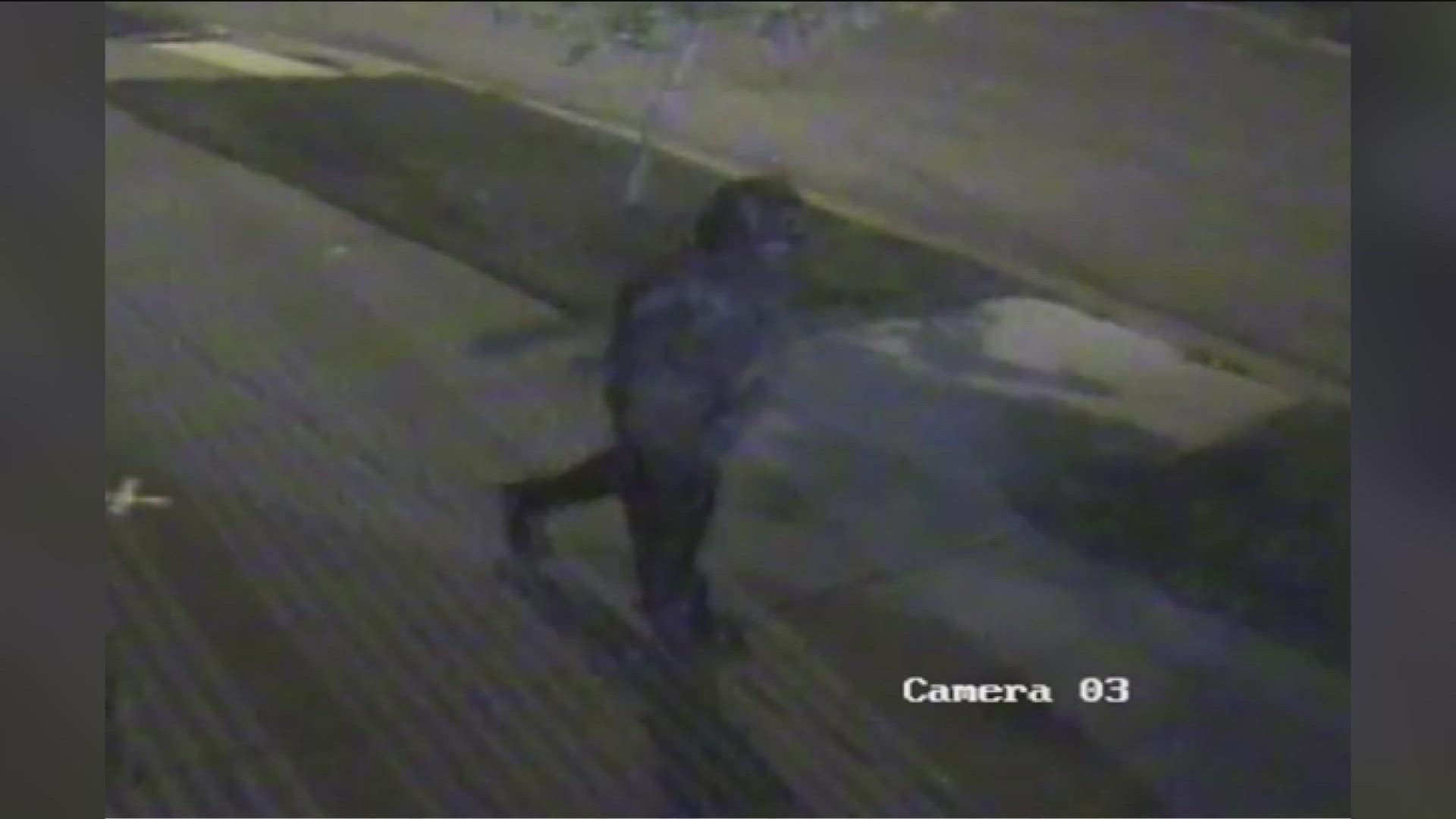 Police are asking for help in identifying a suspect in an Adrian building fire.