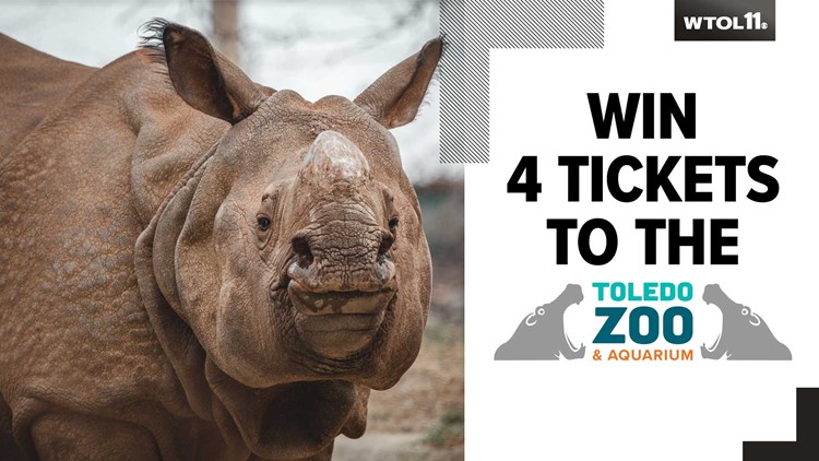 Win 4 tickets to the Toledo Zoo!