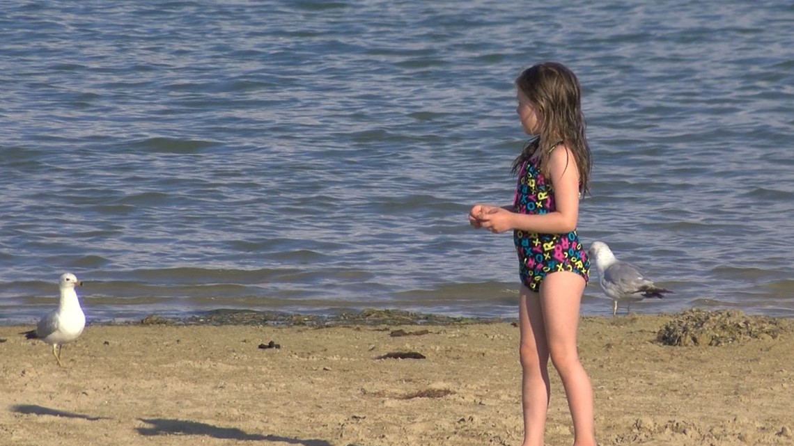 Swimming resumes at Maumee Bay State Park after bacteria threat - WTOL