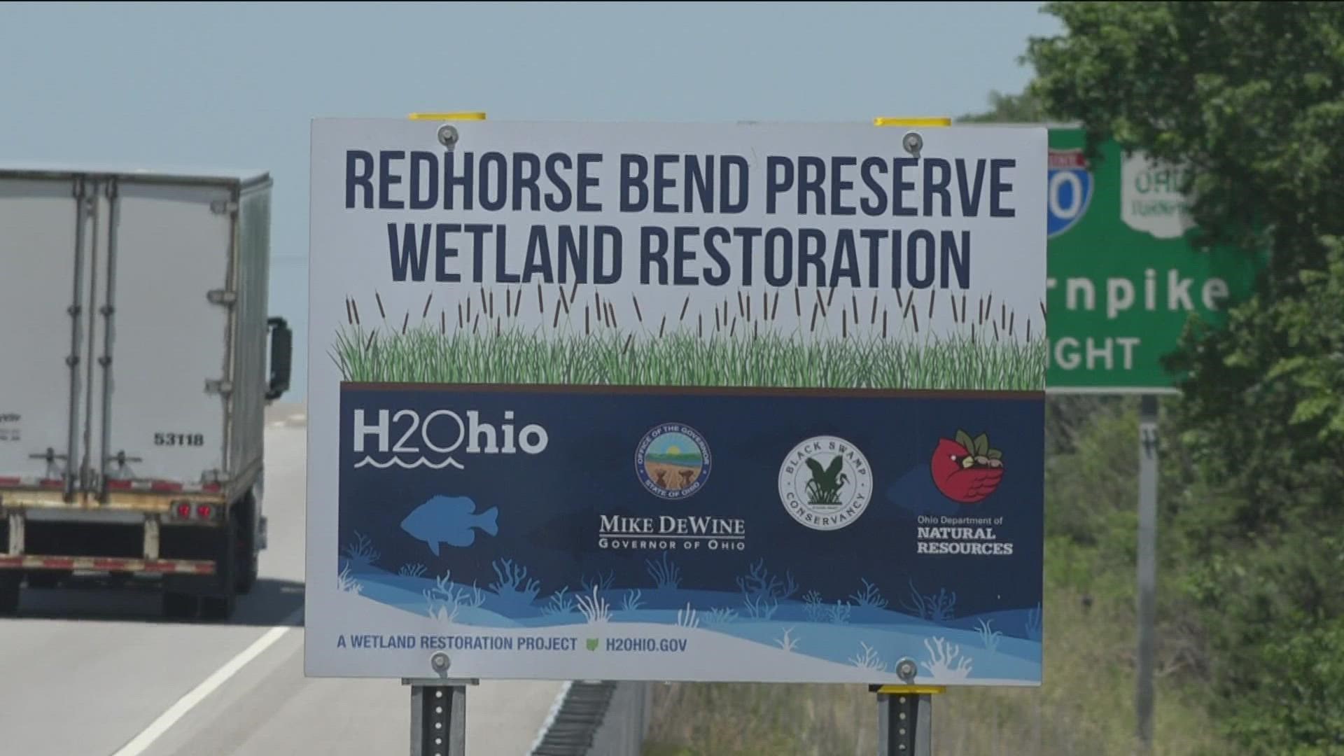 The area has been rehabilitated from farmland to wetland and prairie by the Black Swamp Conservancy to restore natural wildlife and improve Lake Erie water quality.