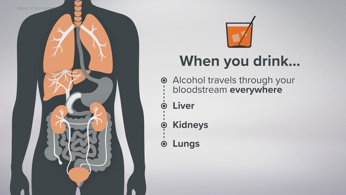 The Effect Of Alcohol On Your Body And When It Becomes Dangerous 0919