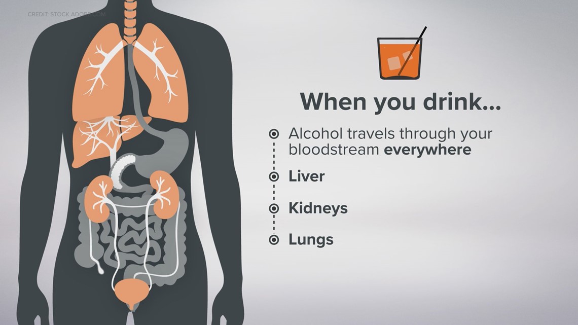 The effect of alcohol on your body and when it becomes dangerous | wtol.com