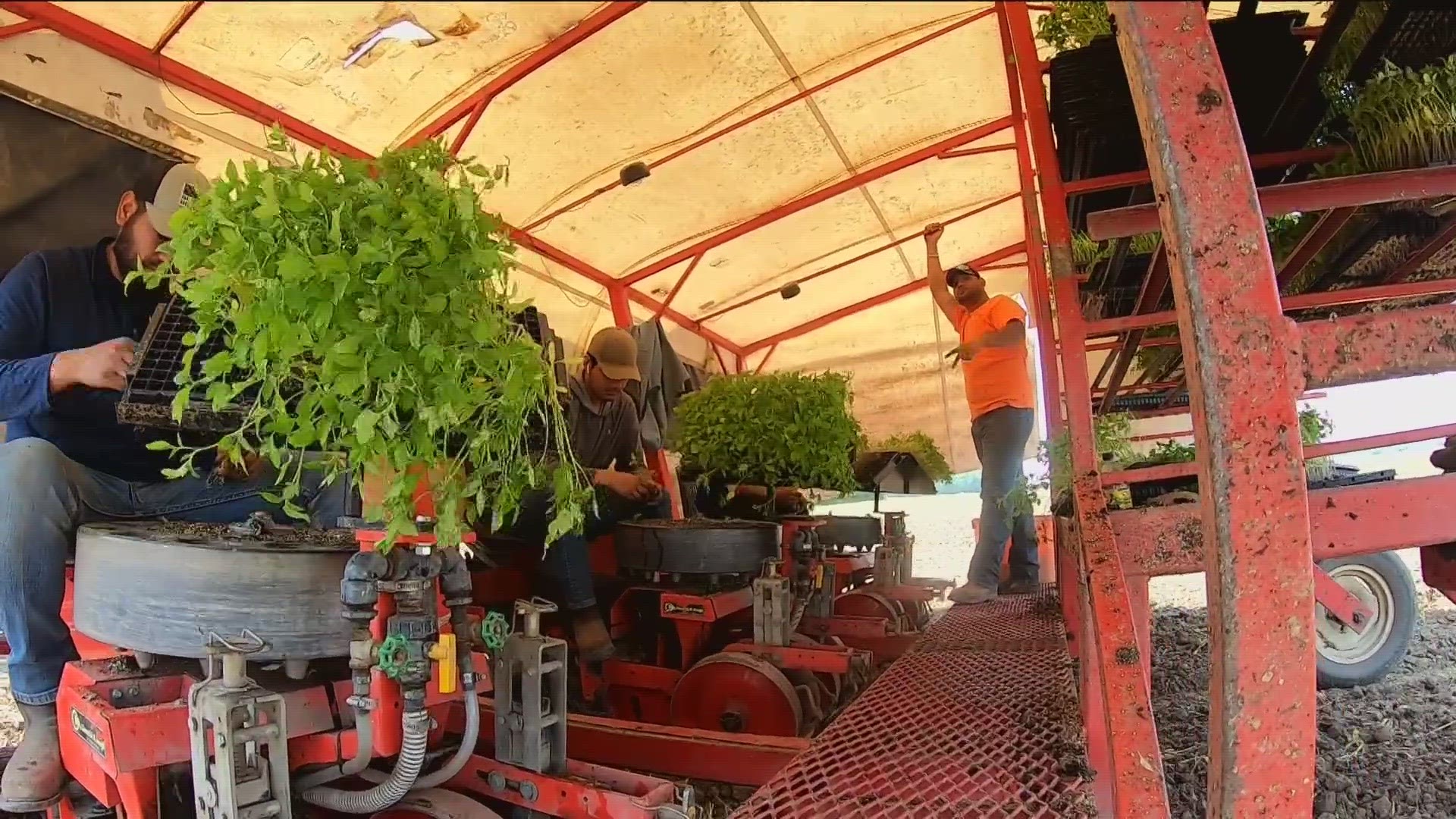 It's been a dry spring, but area farmers have taken advantage by getting their crops planted. Dan Cummins has the story of a 5th generation farmer in Fulton County.