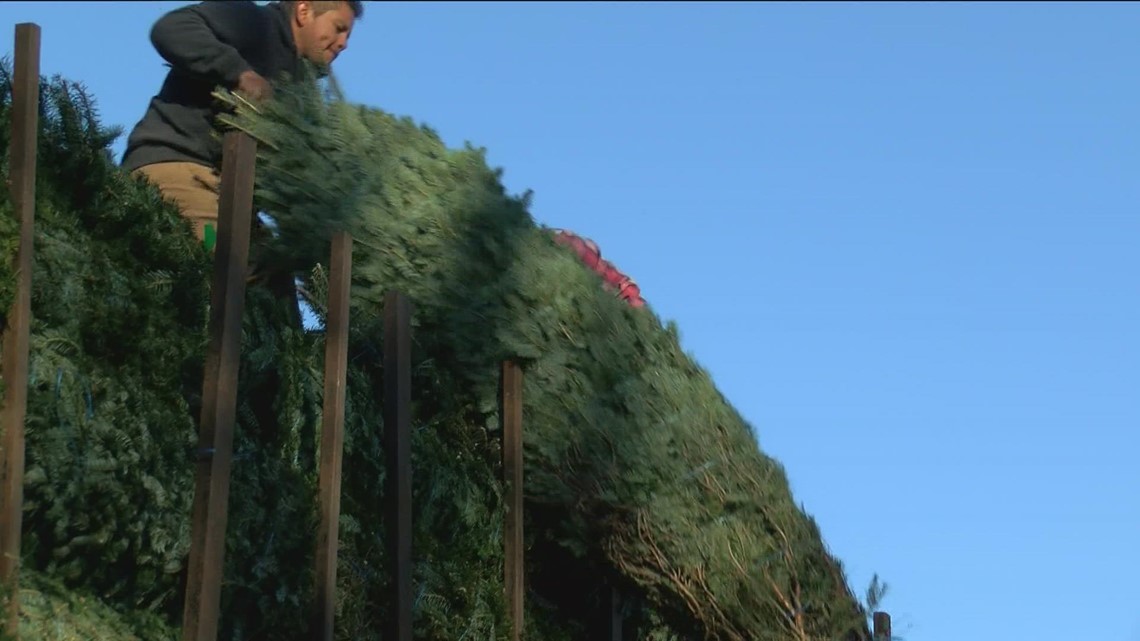 Christmas tree shortage making it hard for tree farmers to meet holiday