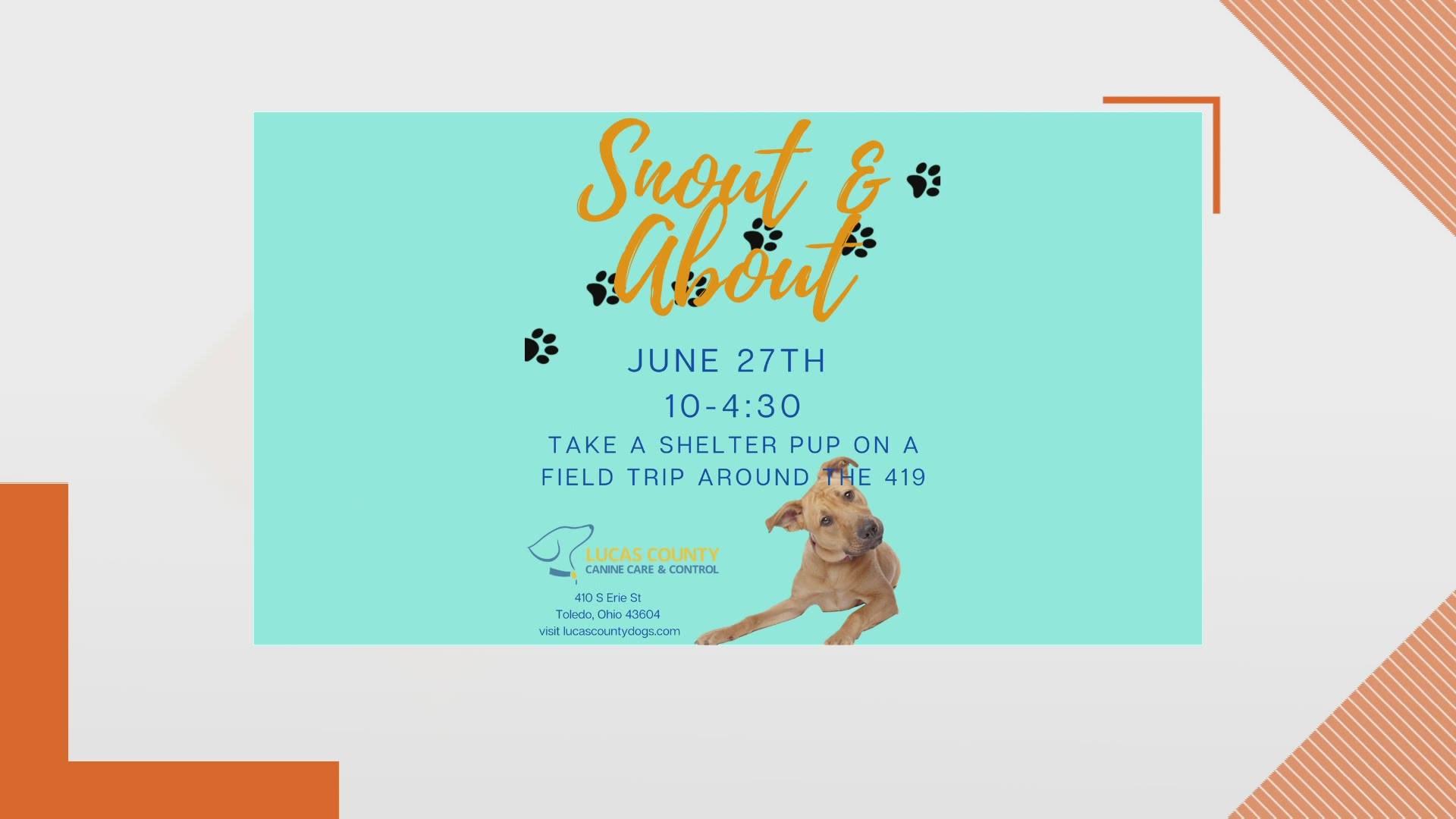 Get a forever friend for this summer with Lucas County Canine Care and Control's "Snout and About" event!