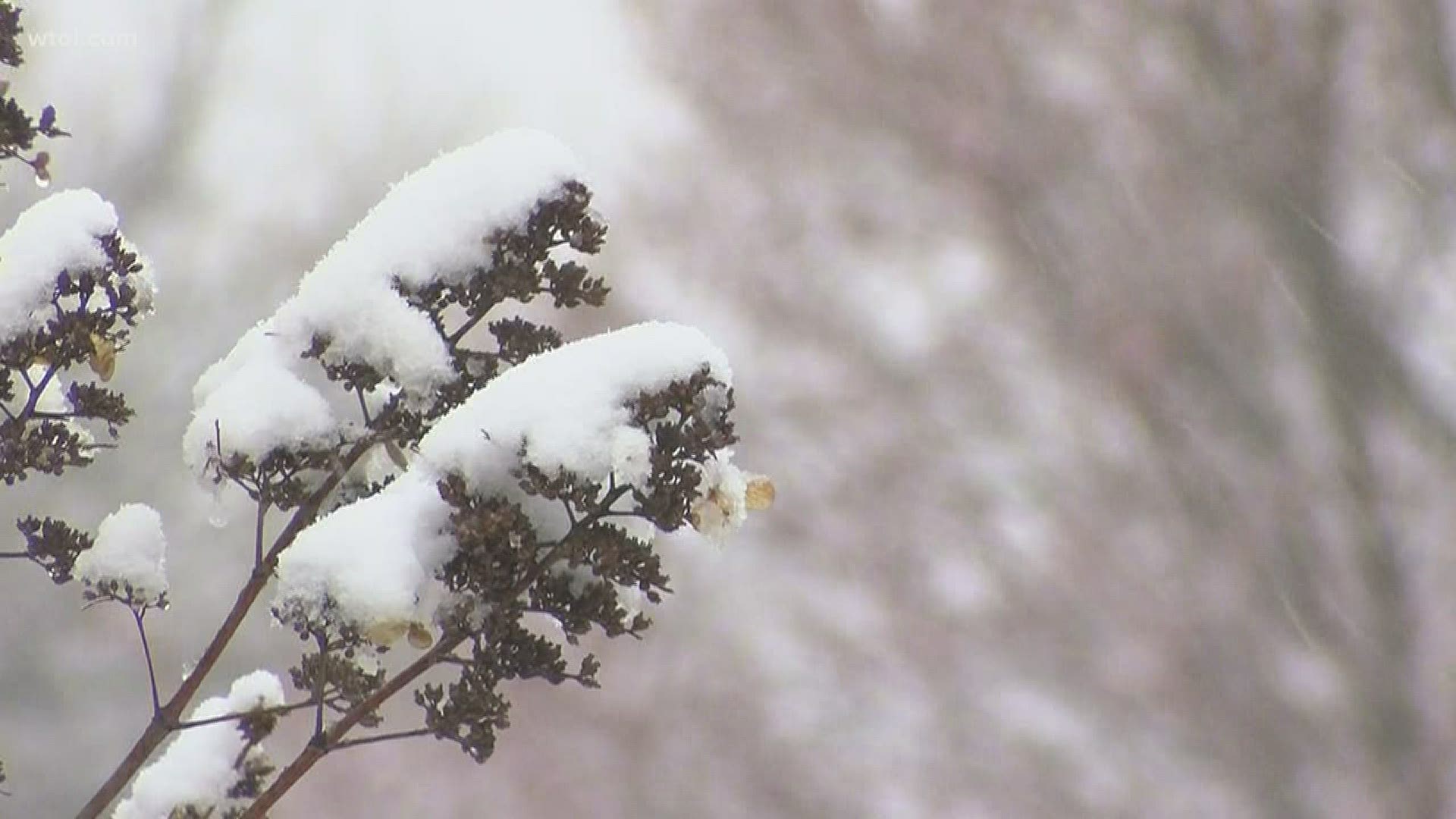 Because right now, we need it: The sights and sounds of nature and snow at Simpson Park, captured by WTOL 11 photojournalist Troy Gingerich.