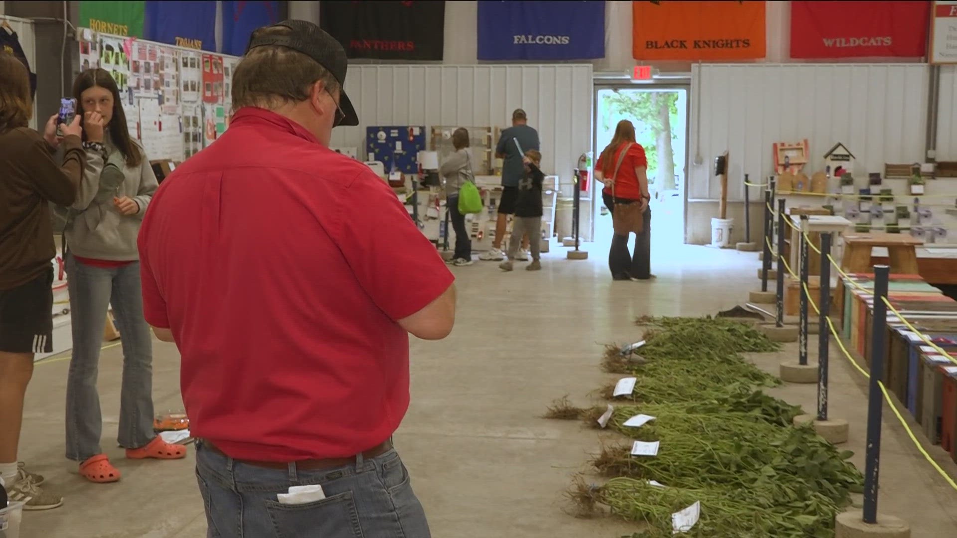 While many county fair visitors hit the midway or livestock barns, usually tucked away off the beaten path, FFA exhibitors are having their crops judged.