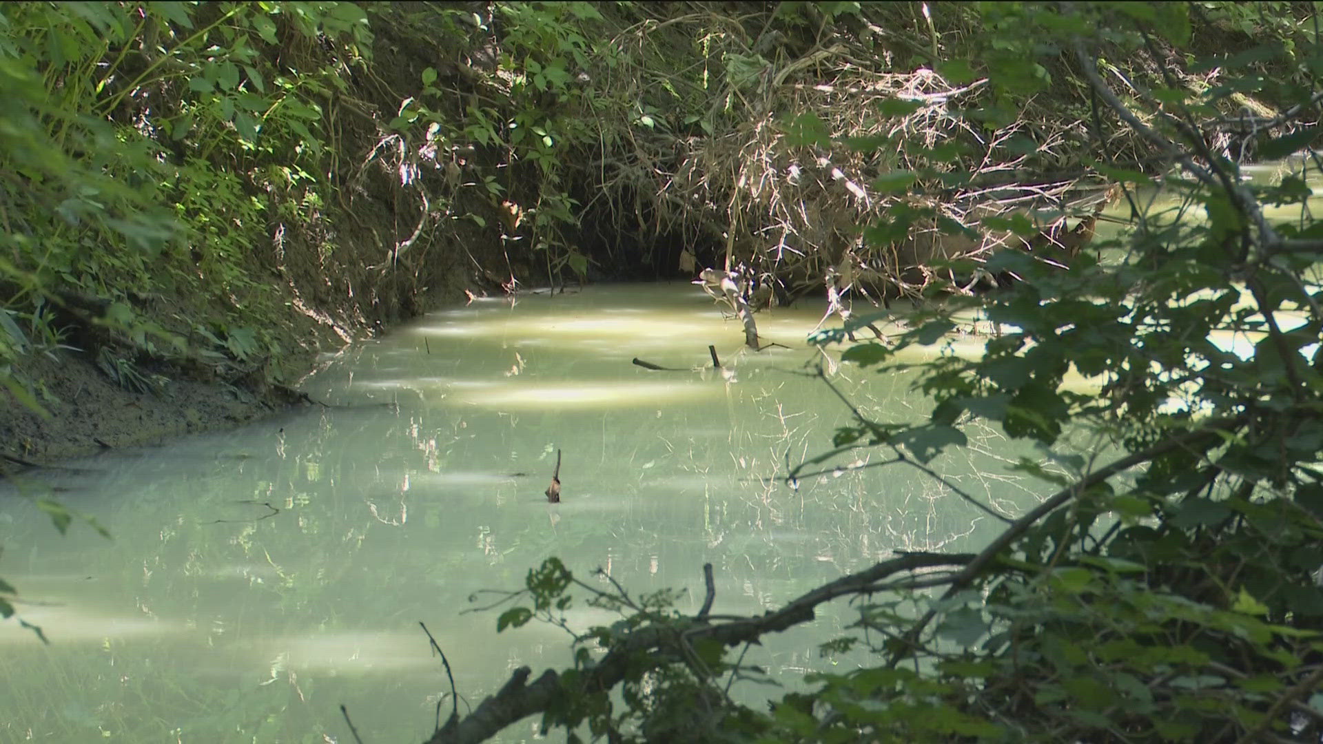 A creek near Eckel Junction Road in Perrysburg was discolored as of Monday.