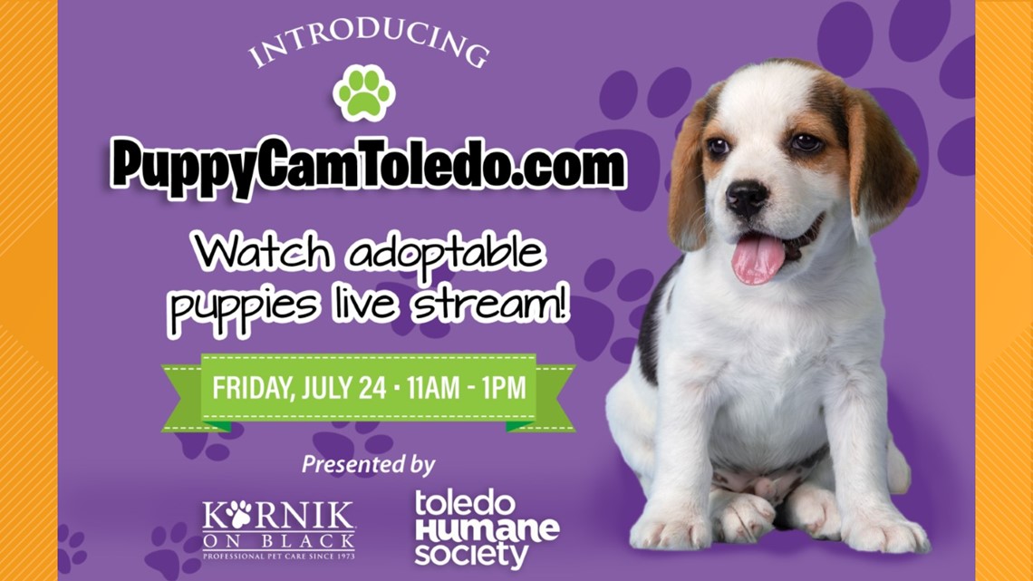 Clear your schedule: Puppy Cam Toledo goes live on Friday! 