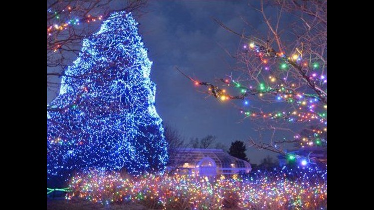 toledo zoo lights before christmas 2020 hours Click To Watch The Magical Lights Before Christmas Special Live Starting At 5 P M Wtol Com toledo zoo lights before christmas 2020 hours
