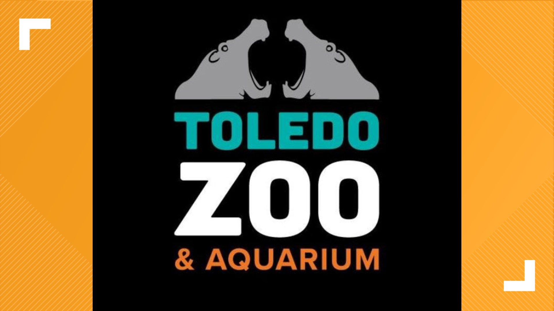 Toledo Zoo offering halfoff admission coupon online