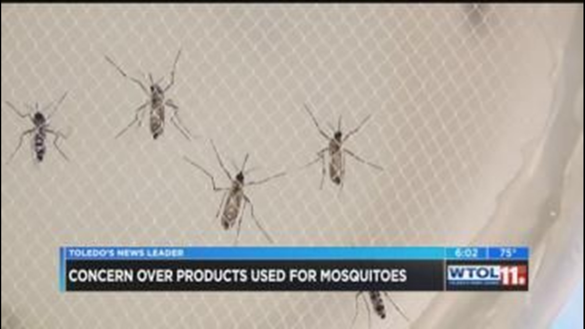 TASD to give spraying treatment for mosquitoes in neighborhoods