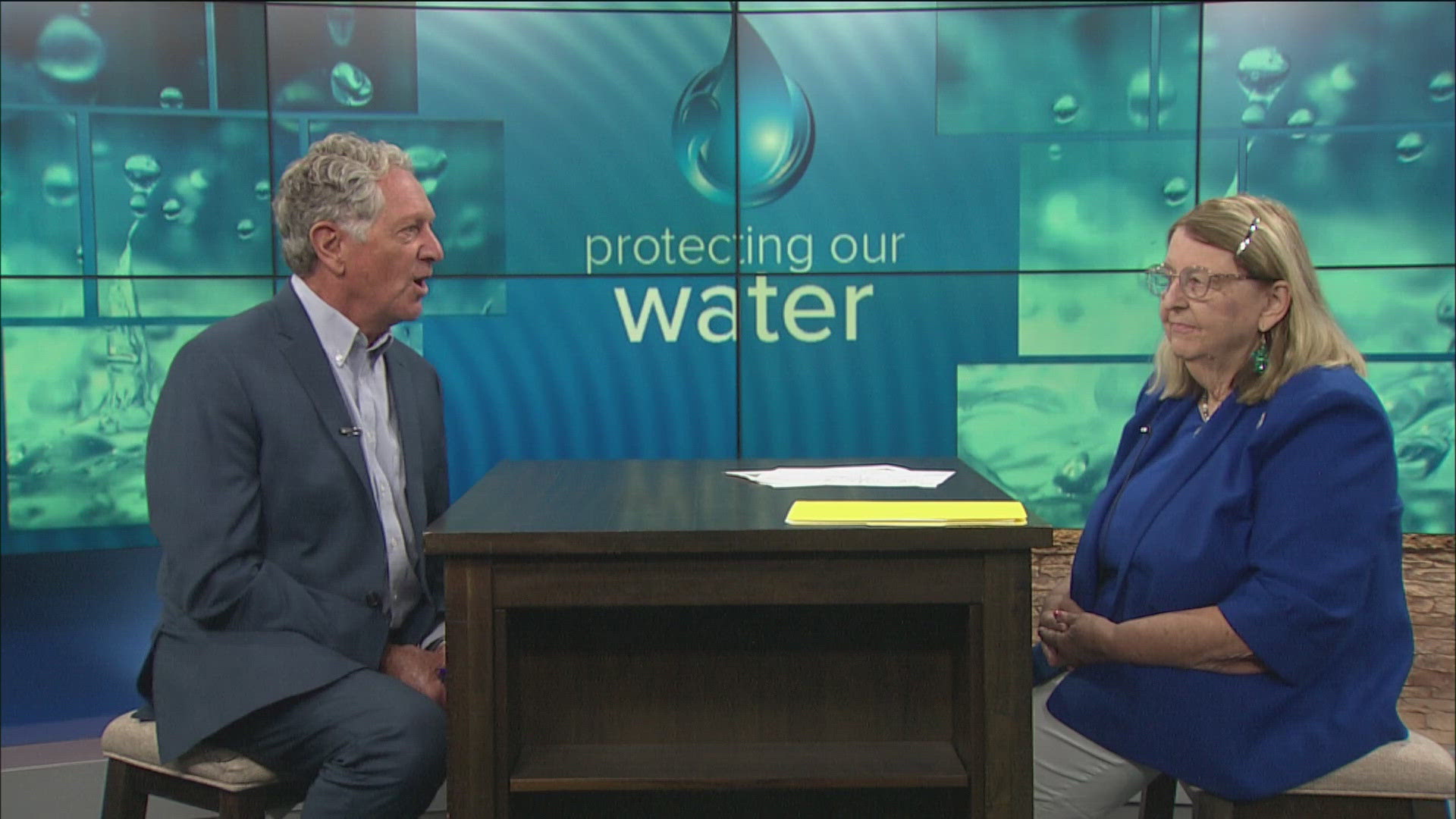 Sandy Bihn with Lake Erie Waterkeeper talks with Dan Cummins about efforts that have been made to keep Lake Erie healthy following the water crisis 10 years ago.