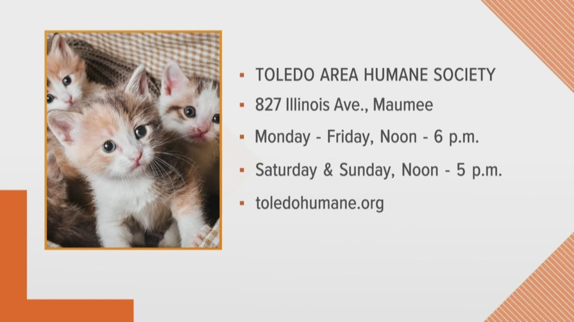 Lisa Sommers from the Toledo Area Humane Society explains how you can give a pet a 'fur-ever' home!