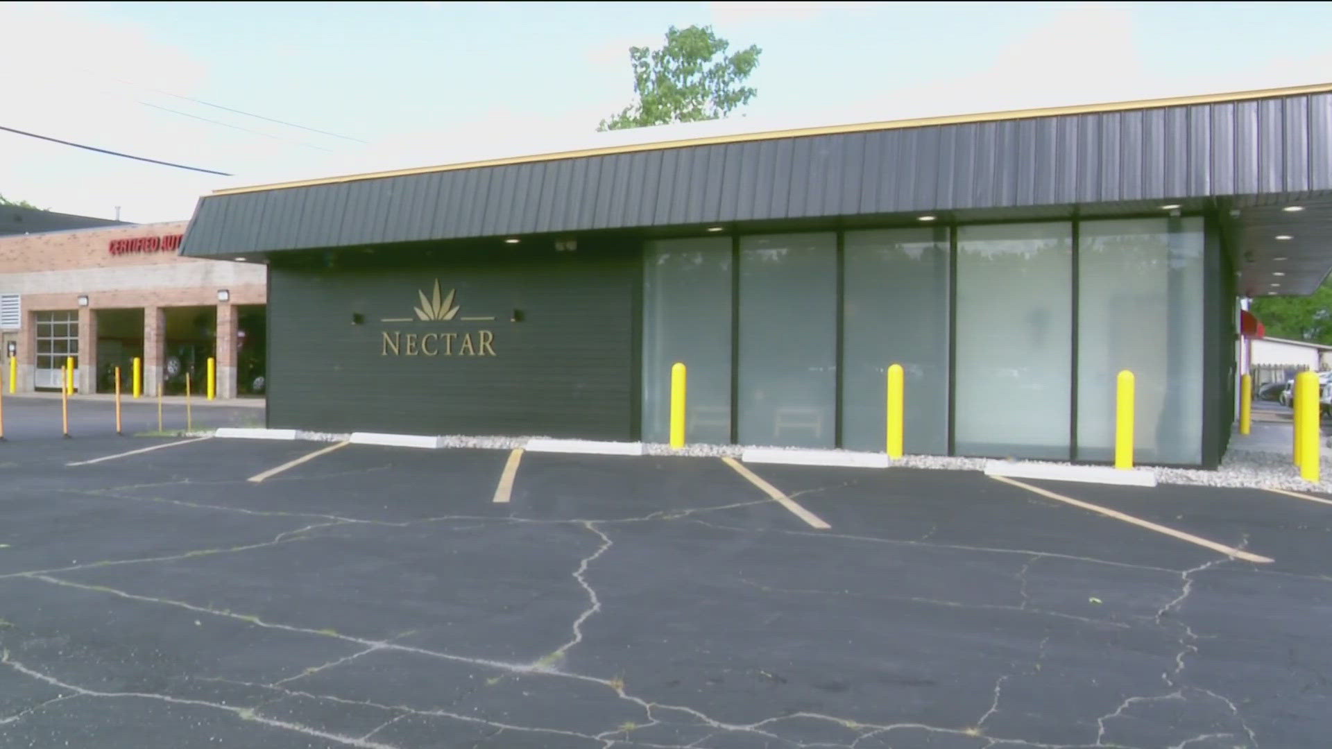 The manager of Nectar on Main Street says the marijuana dispensary has submitted an application to become recreational.