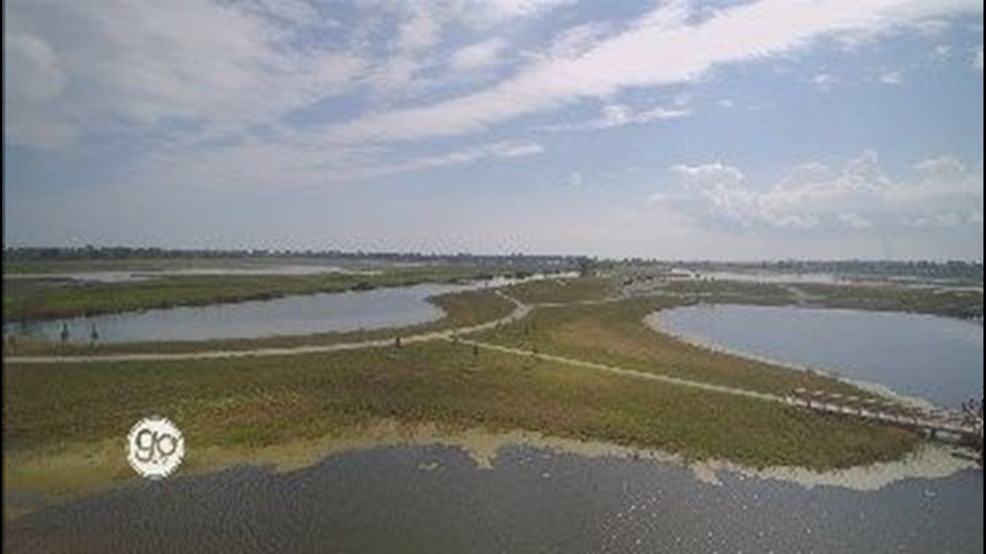 Howard Marsh Metropark renewing Coastal Wetlands and more