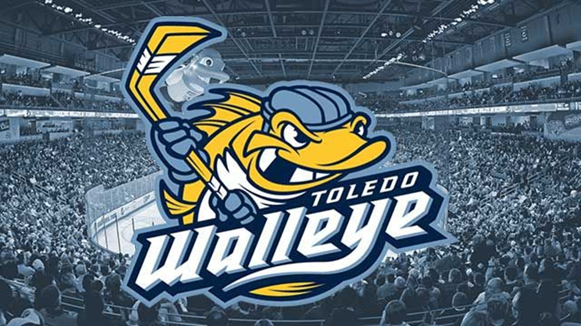 WTOL 11 Walleye Ticket GIVEAWAY Wtol