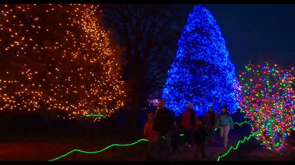 Vote Toledo Zoo Lights Before Christmas Best Zoo Lights title