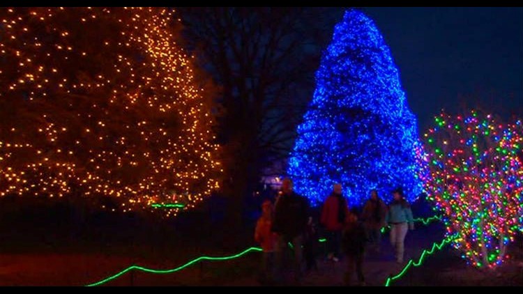 Toledo Zoo finishes second in Best Zoo Lights contest