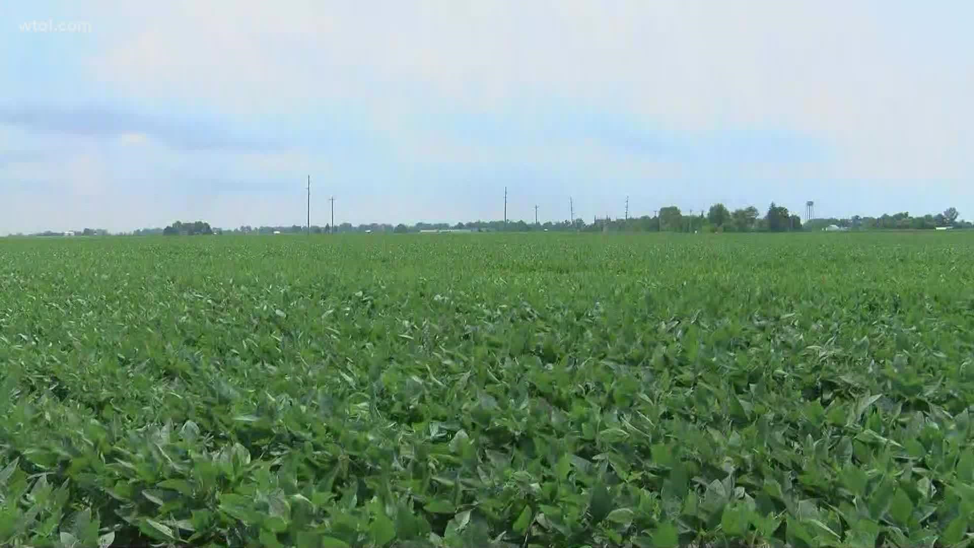 Governor DeWine said what farmers do throughout Northwest Ohio effects everything from the drinking water in Toledo to our ability to enjoy Lake Erie.