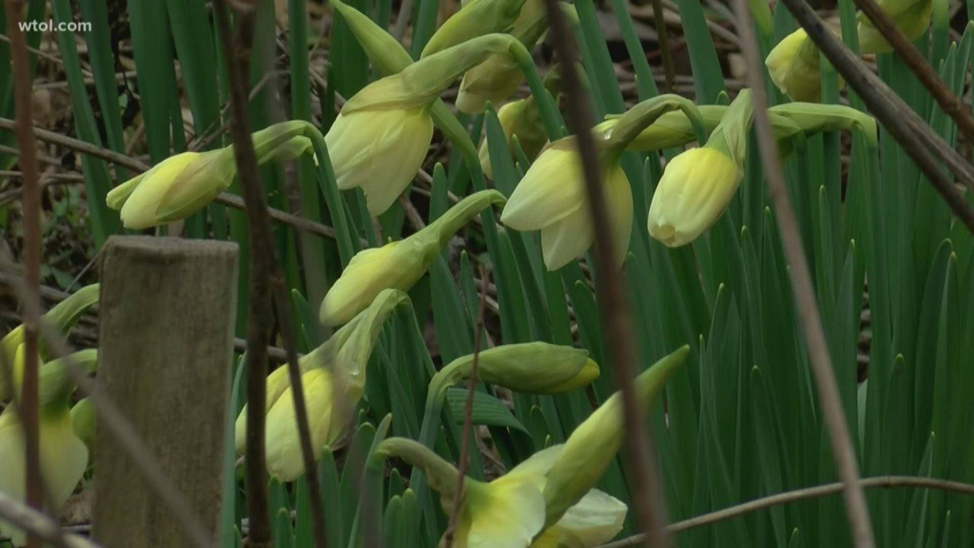 Because right now, we need it: The sights and sounds of the nature at Sawyer Quarry Nature Preserve, captured by WTOL 11 photojournalist John Juby.